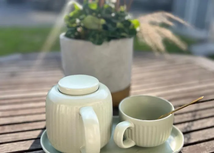 公寓 Uroczy Z Ogrodem 露米雅